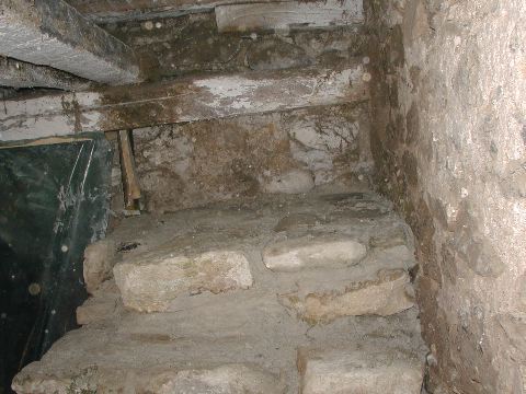 image9.jpg