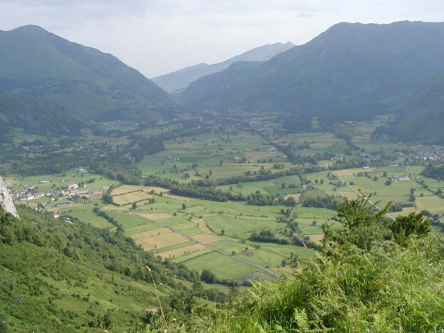 image1.jpg