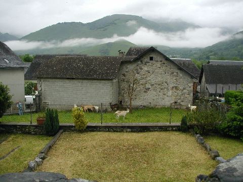 image12.jpg