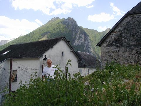 image12.jpg