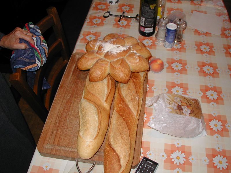 image1.jpg