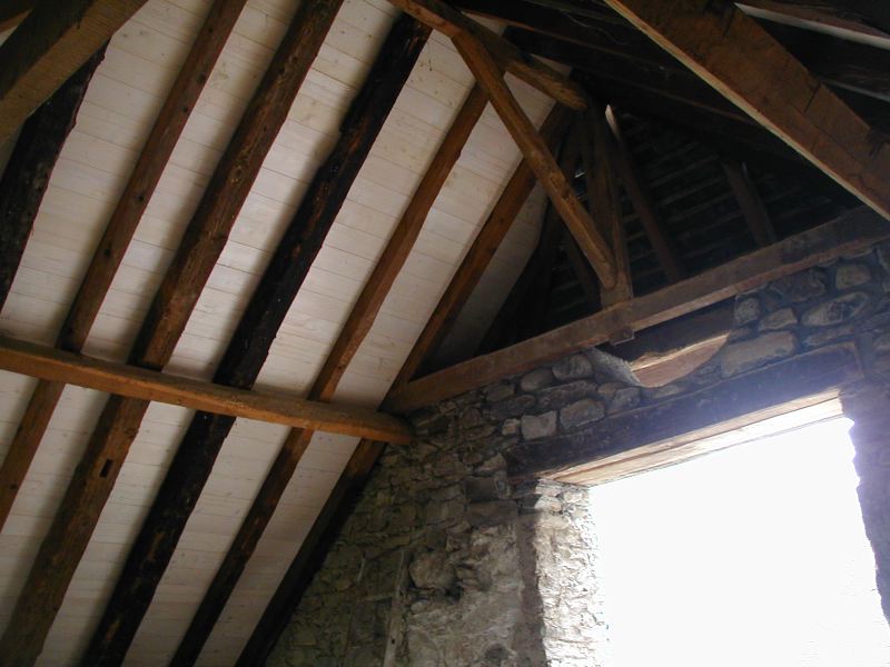 image3.jpg