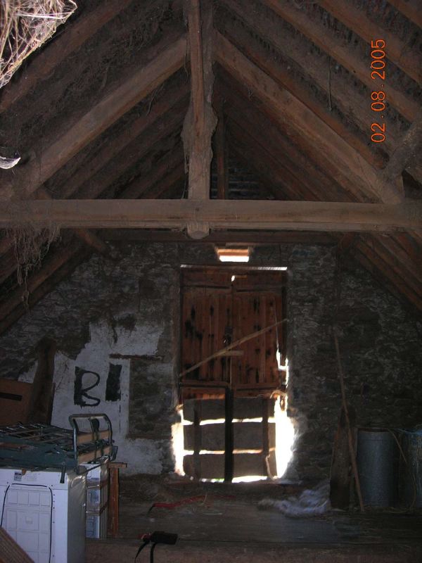 image1.jpg