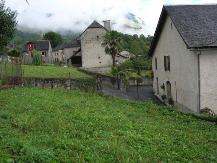 image9.jpg
