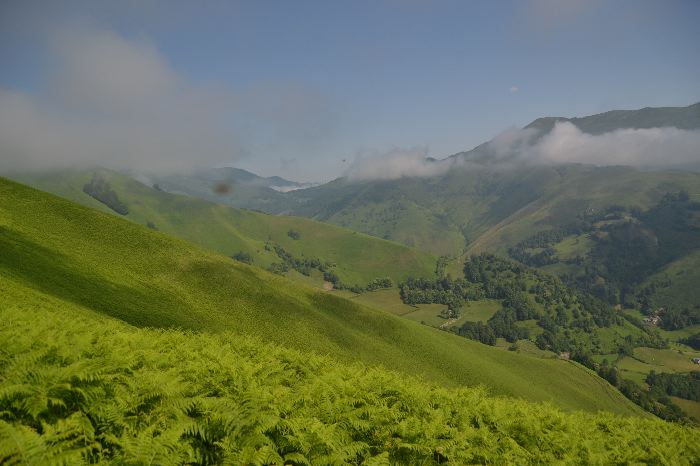 image21.jpg