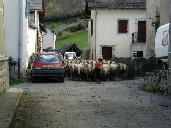image7.jpg