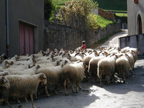 image8.jpg